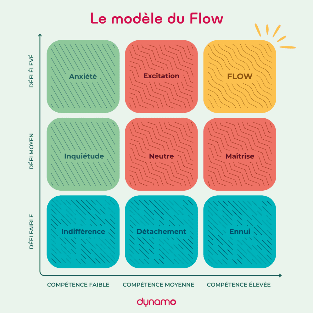 Modèle du Flow, adapté par Dynamo