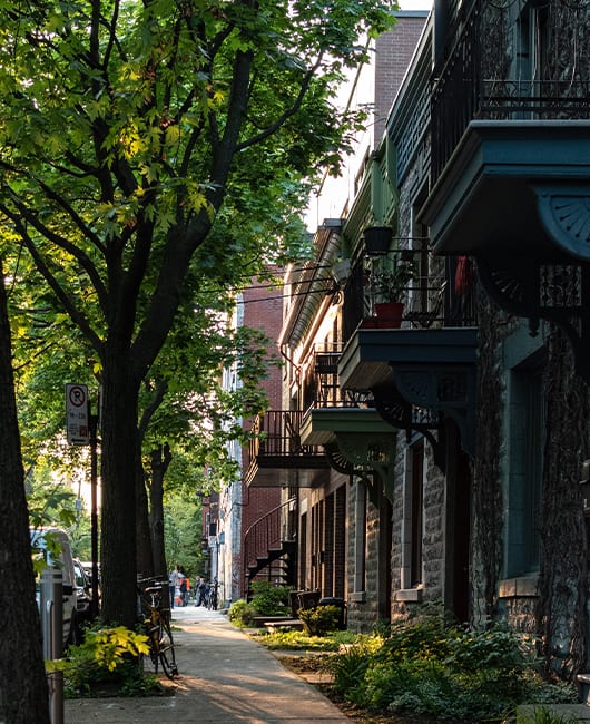Dynamo accompagne l’arrondissement Saint-Léonard de Montréal